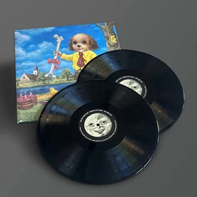 Afbeelding van Angels of Light We Are Him (2 LPs)