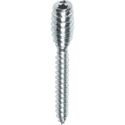 Afbeelding van Woodies afstandschroeven 6,0 x 60 mm T25 verzinkt (Per 50 stuks)