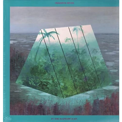 Afbeelding van Okkervil River In the Rainbow Rain (2 LPs)