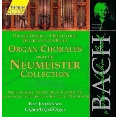 Afbeelding van Kay Johannsen Organ Works: Chorales From Th (2 CD)