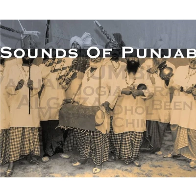 Afbeelding van Various Artists Sounds Of Punjab (CD)