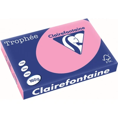 Afbeelding van Clairefontaine Trophée Pastel, Gekleurd Papier, A3, 160 G, 250 Vel, Felroze Papier