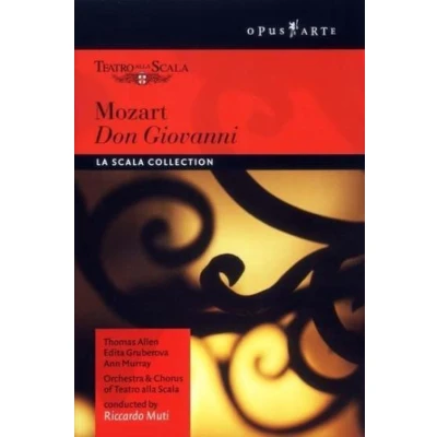 Afbeelding van Thomas Allen Don Giovanni (DVD)