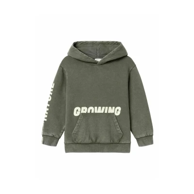 Afbeelding van Name it Hoodie voor kinderen, Maat: 122/128, Tea leaf
