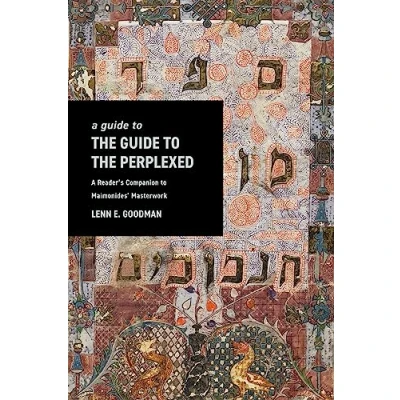 Afbeelding van A Guide to TheGuide the Perplexed