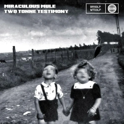 Afbeelding van Miraculous Mule Two Tonne Testimony (CD)