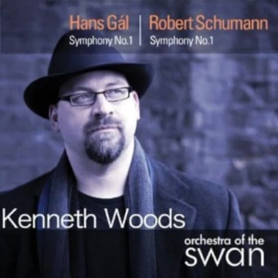 Afbeelding van Orchestra Of The Swan, Kenneth Woods Gal &amp; Schumann: Symphonies (CD)