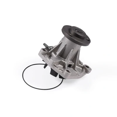 Afbeelding van HEPU P1081 Waterpomp Met pakking Mechanisch JEEP: Cherokee II, Grand I