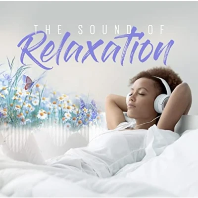 Afbeelding van V/A Sound Of Relaxation (CD)