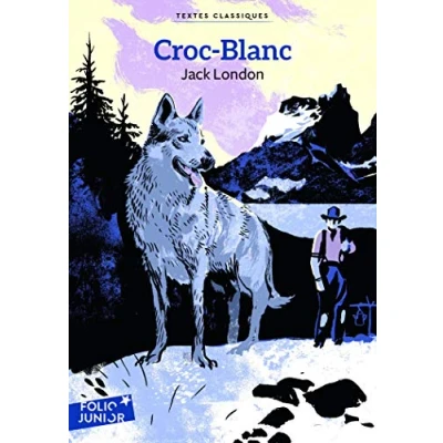 Afbeelding van ISBN 9782700027525, Frans, Paperback, 256 pagina&#039;s