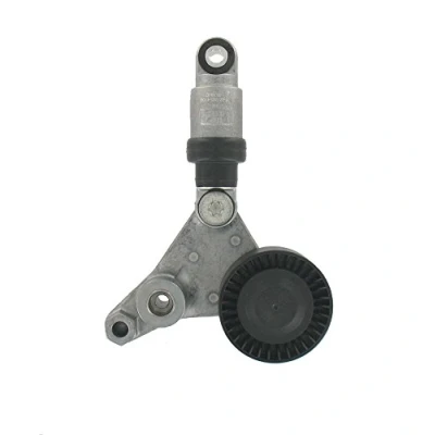 Afbeelding van Skf Spanrol (poly) V riem VKM 35216
