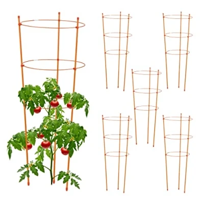 Afbeelding van Relaxdays plantensteun kamerplant set van 6 met ringen ronde klimplantensteun buiten