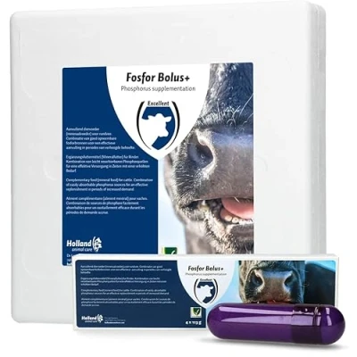 Afbeelding van Fosfor bolus+ 12 stuks