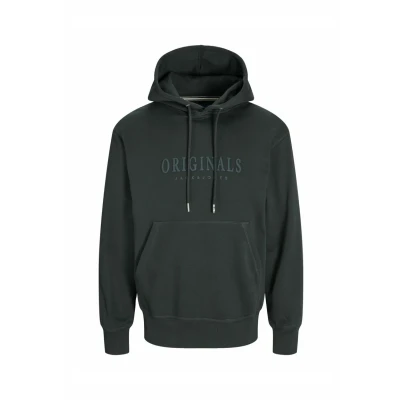 Afbeelding van Jack &amp; Jones Jorfrederiksberg Hoodie, Heren, Maat: Small, Forest river