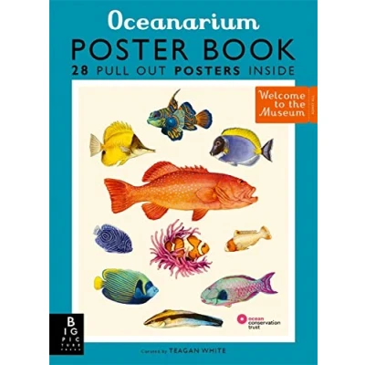Afbeelding van Welcome To The Museum Oceanarium Poster Book