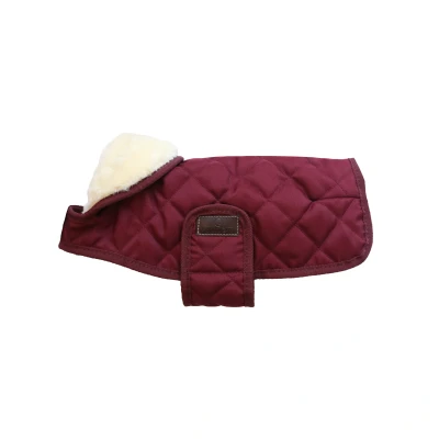 Image de Kentucky Veste pour Chien Original Royal Bordeaux 31cm