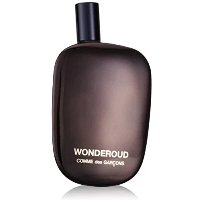 Afbeelding van Comme des Garçons Wonderoud 100 ml Eau de Parfum Spray