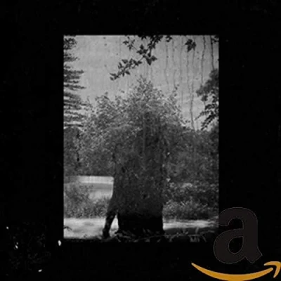 Afbeelding van Grouper Ruins (CD)