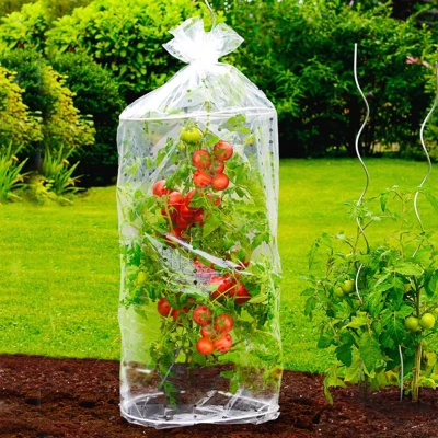 Afbeelding van WENKO Tomatenhoes, 2 stuks