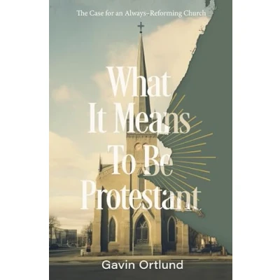 Afbeelding van What It Means to Be Protestant