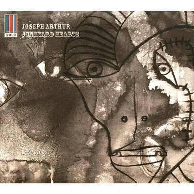 Afbeelding van Joseph Arthur Junkyard Hearts (CD)