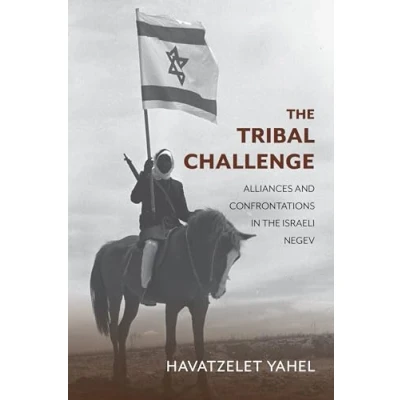 Afbeelding van Perspectives on Israel Studies The Tribal Challenge