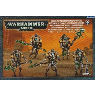 Afbeelding van Warhammer 40,000: Necron Lychguard / Triarch Praetorians