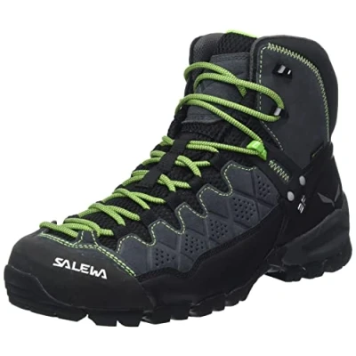 Afbeelding van Salewa MS Mountain Trainer, trekking en wandelschoenen, heren, onyx kikkerblad