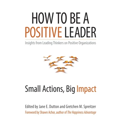 Afbeelding van How To Be A Positive Leader