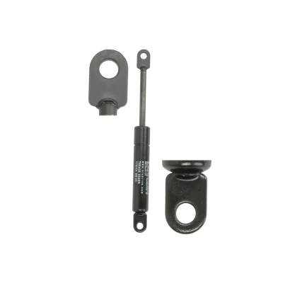 Afbeelding van Gasveer, kofferdeksel STABILUS STA768408
