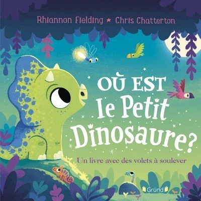 Image de Où est le petit dinosaure ? Un livre avec des volets à soulever