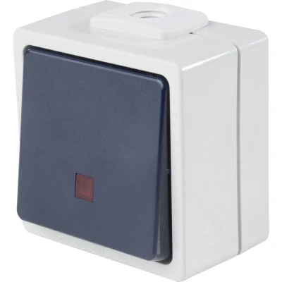 Afbeelding van AS Schwabe 62453 Toets Met licht IP54 Grijs