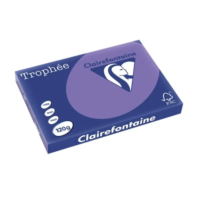Image de Clairefontaine papier couleur 120 g/m² A3 (250 feuilles) violine