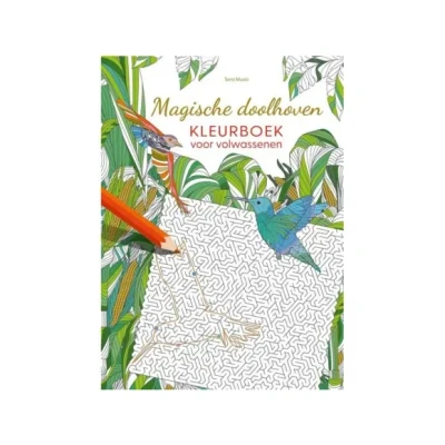 Afbeelding van Magische doolhoven kleurboek voor volwassenen