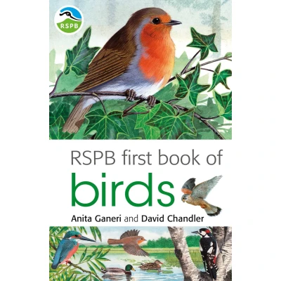 Afbeelding van Rspb First Book Of Birds