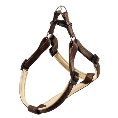 Afbeelding van Ferplast Daytona P (M, Hond, Hondensport), Kraag + Leiband