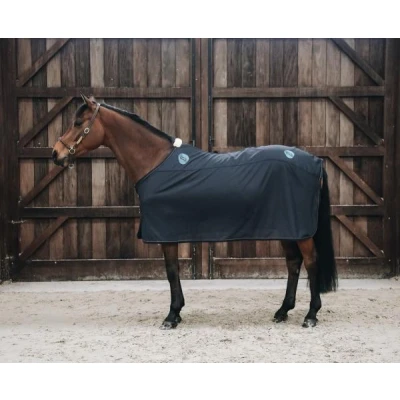 Image de Kentucky Magnetic Rug Recuptex 160/213