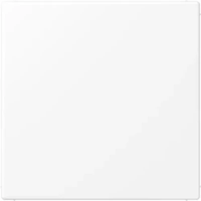 Afbeelding van JUNG LS990 blindplaat sneeuwwit mat LS994BWWM