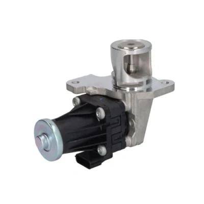 Afbeelding van DELPHI EG10553 12B1 EGR klep Zonder AGR koeler RENAULT: MEGANE 3 Grandtour