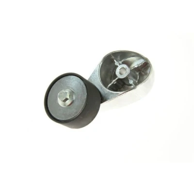 Afbeelding van BTA B05 01 014 Riemspanner