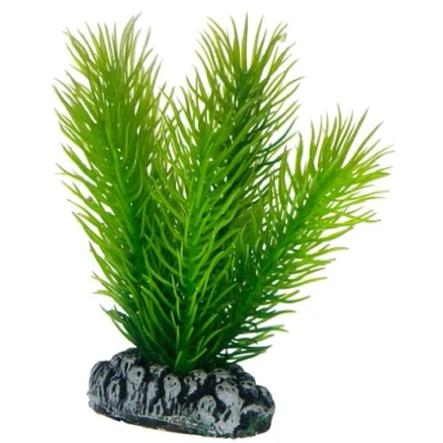 Afbeelding van Hobby Plant Mayaca 7 Cm