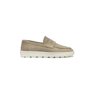 Afbeelding van Geox Spherica Ecub 1 Chaussures, sable, 42 EU