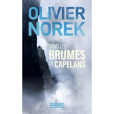 Afbeelding van Dans les brumes de Capelans