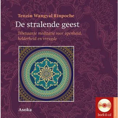 Afbeelding van De stralende geest