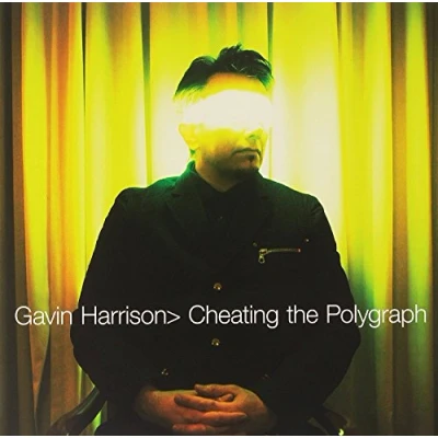 Afbeelding van Gavin Harrison Cheating the Polygraph (LP)