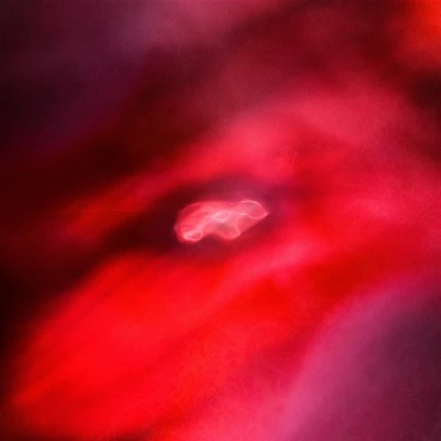 Afbeelding van Siavash &amp; Saffronkeira Amini Faded Orbit (LP)