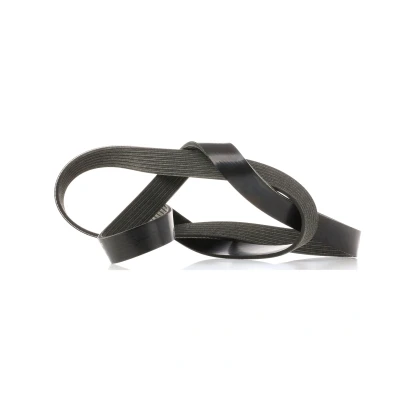 Afbeelding van Poly V riem DAYCO 7PK1516S