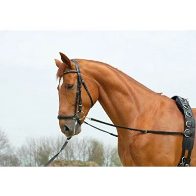 Image de Busse Side Rein Basic Starr