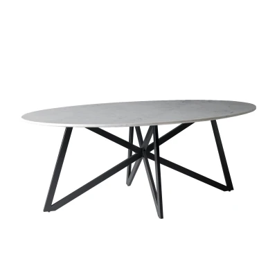 Afbeelding van Marble eettafel ovaal 200 cm marmer web wit