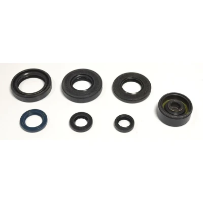 Afbeelding van Motor afdichtingen, compleet ATHENA P400485400089